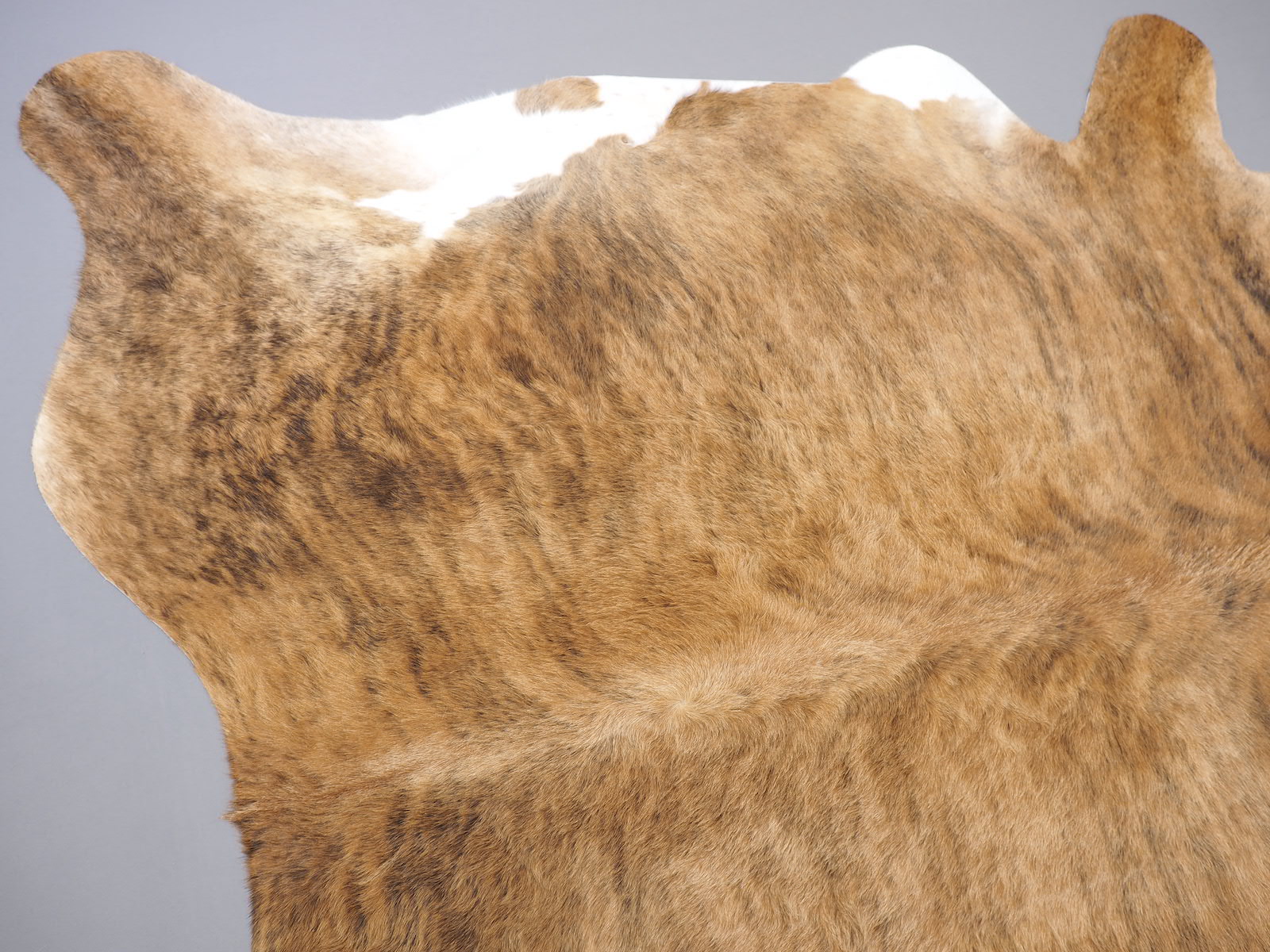 Коровья шкура ковер насыщенно тигровая арт.: 24694